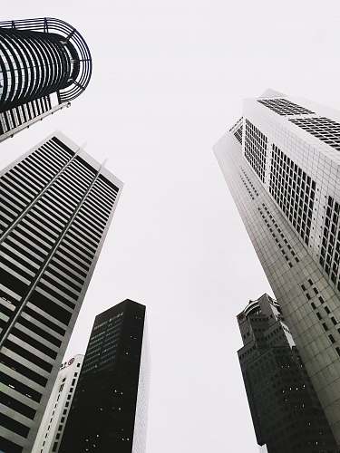 office building grayscale photography of city buildings city